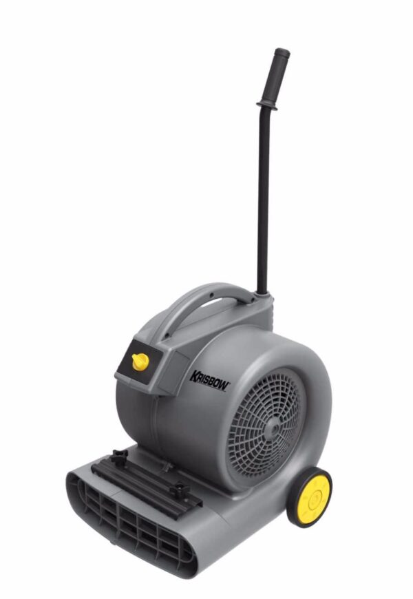 CARPET BLOWER 700 WATT KRISBOW 10124687-0